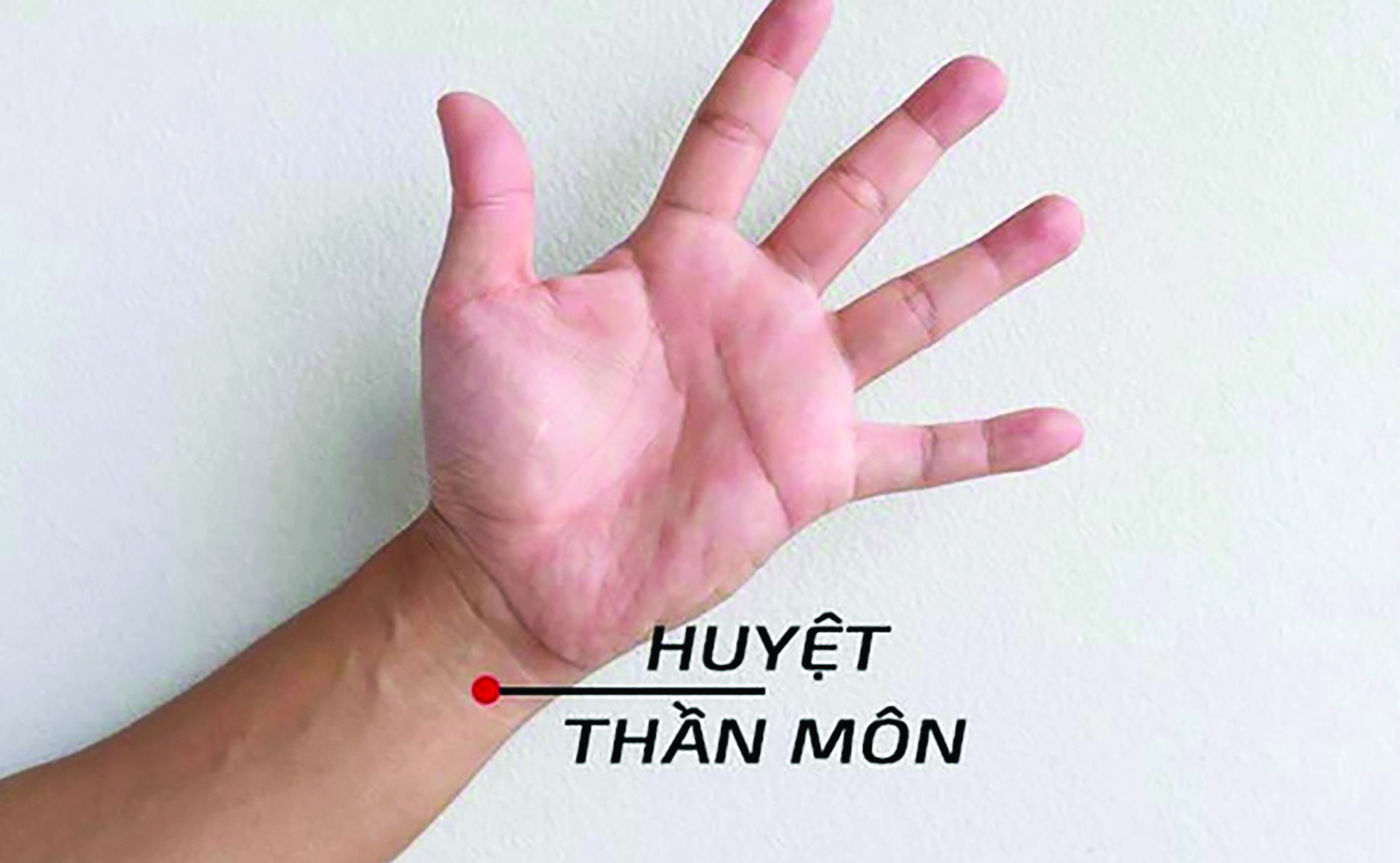 Phương pháp dưỡng sức để giữ ‘ngòi bút khỏe' - Ảnh 2.