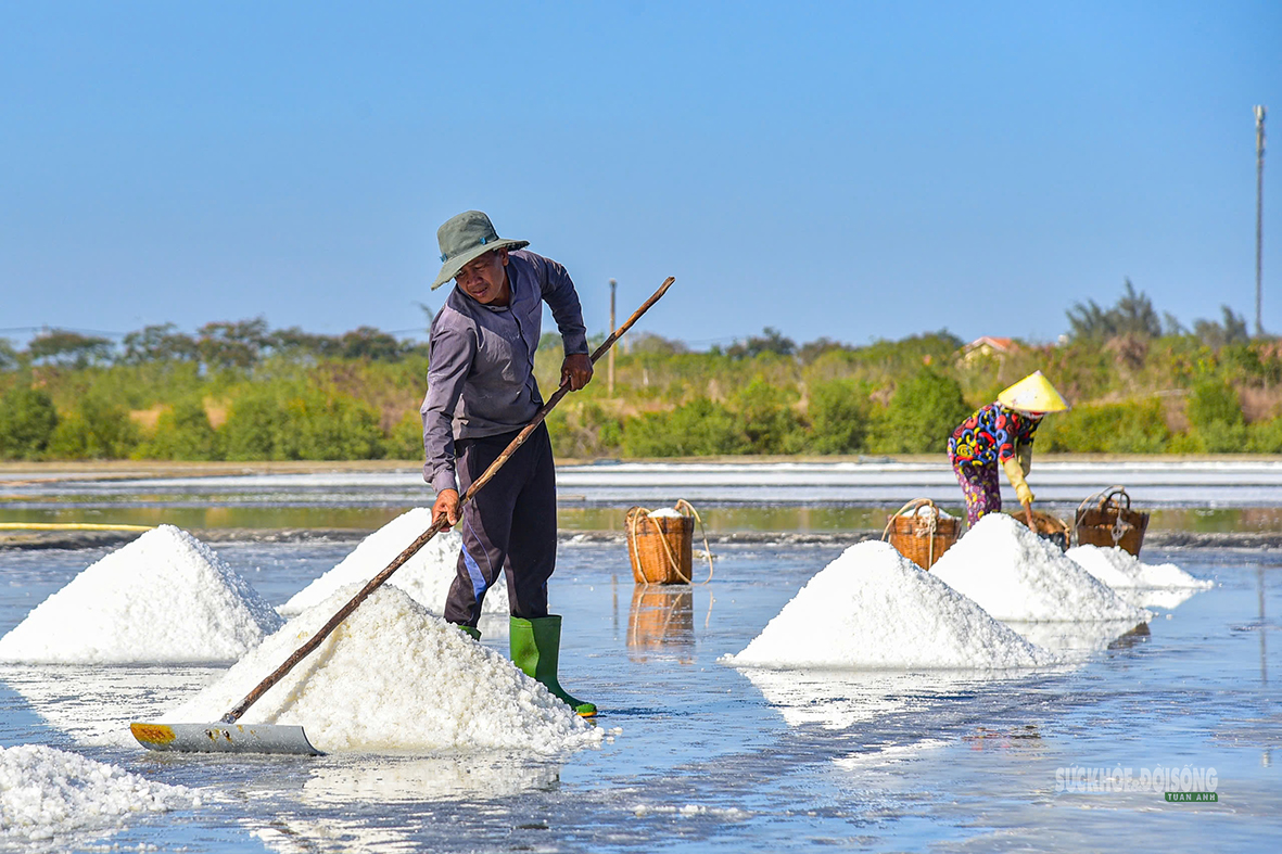 Nét đẹp trên cánh đồng muối Cần Giờ- Ảnh 3.