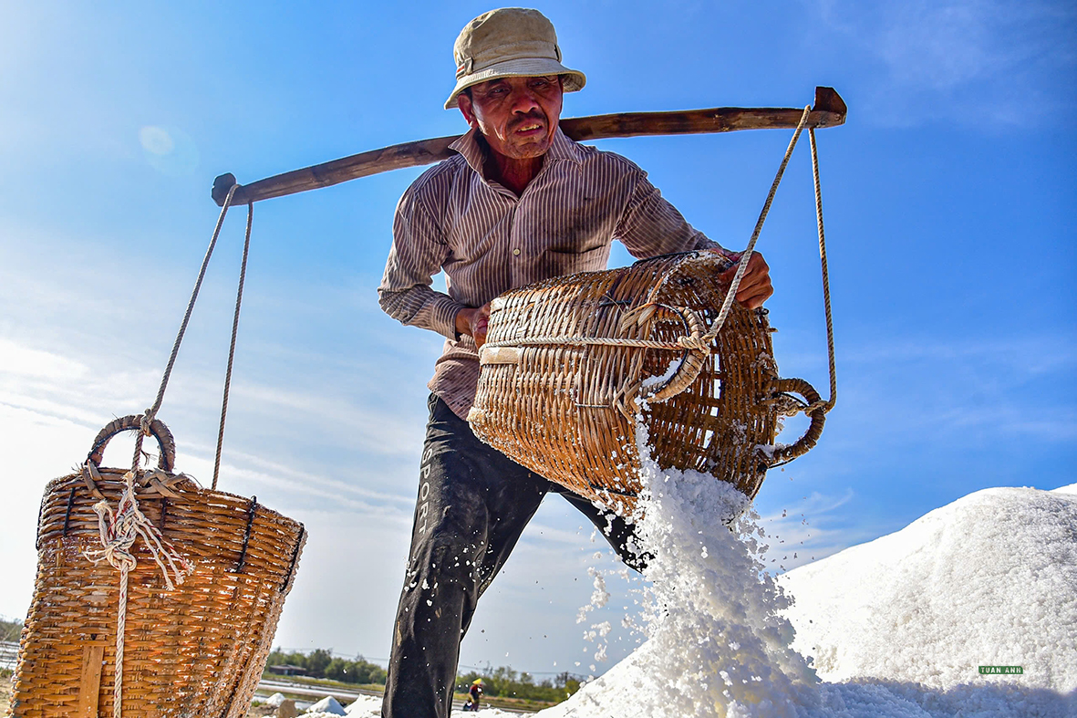 Nét đẹp trên cánh đồng muối Cần Giờ- Ảnh 1.