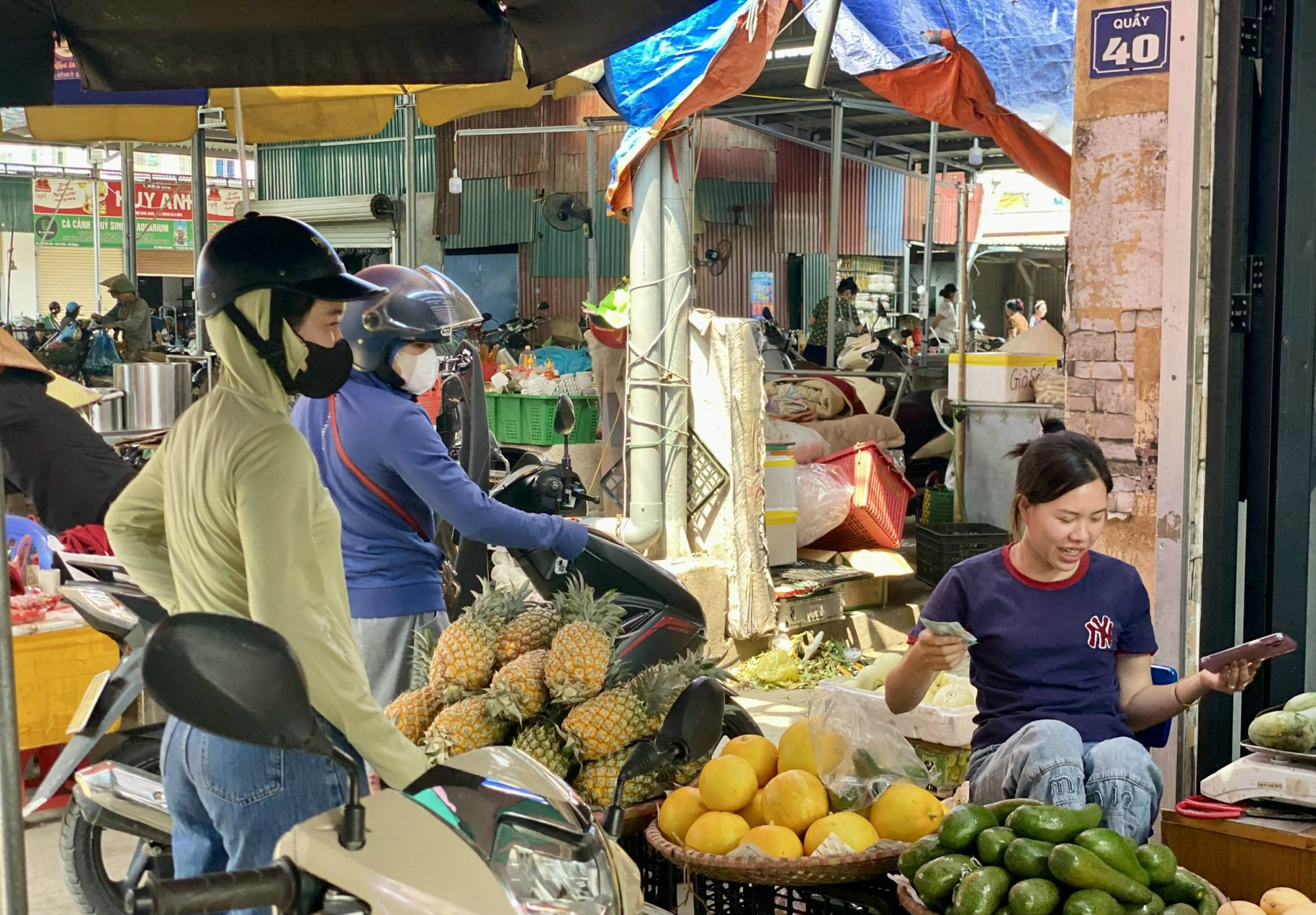 Tiểu thương lý giải giá dứa tại vườn rẻ như cho nhưng bán ngoài thị trường vài chục nghìn đồng/kg- Ảnh 2. Tiểu thương lý giải giá dứa tại vườn rẻ như cho nhưng bán ngoài thị trường vài chục nghìn đồng/kg- Ảnh 2.