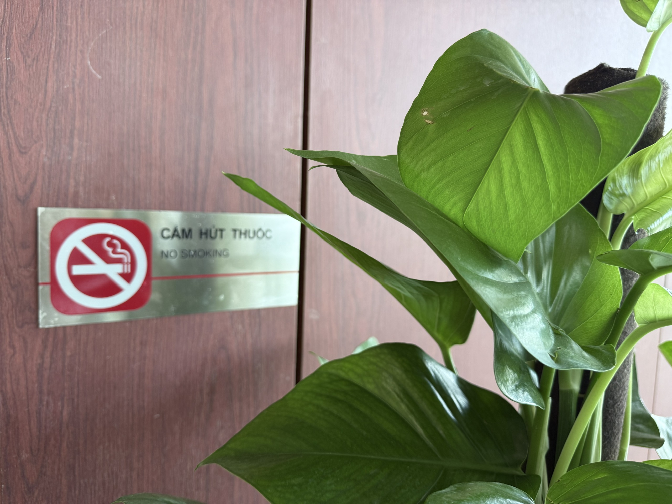 Sáng nay - 26/6, Bệnh viện Bạch Mai cơ sở Ninh Bình 1.000 giường chính thức hoạt động- Ảnh 8.