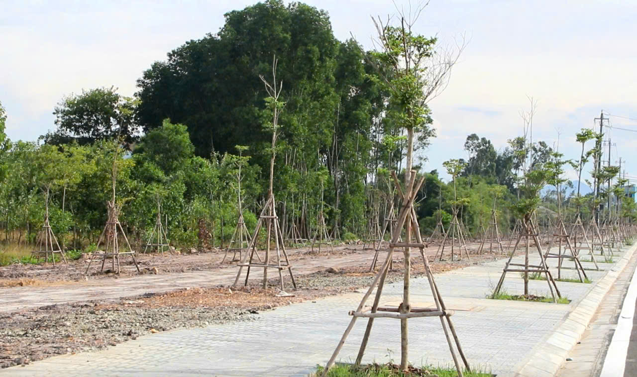 Toàn cảnh khu tái định cư đầu tiên ở Huế hoàn thành phục vụ dự án đường sắt tốc độ cao- Ảnh 7.