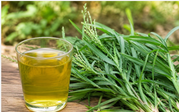 5 loại nước uống từ cỏ mần trầu giúp thanh mát cơ thể trong mùa hè - Ảnh 3.