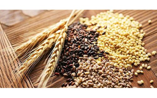 Cách tập tăng cường sức mạnh cho phụ nữ trên 50 tuổi - Ảnh 2.