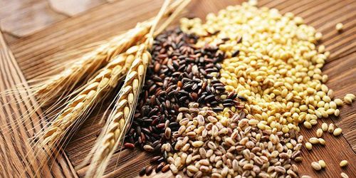Người bệnh đái tháo đường ăn tỏi mỗi ngày có lợi ích gì? - Ảnh 2.