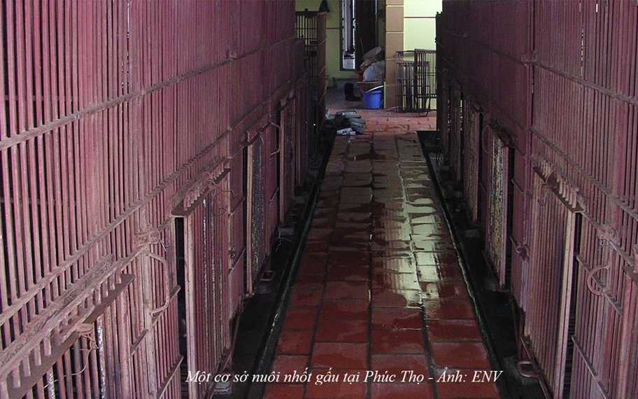 Phát hiện Kỳ đà hoa sau vườn, thanh niên ở Tây Ninh làm điều bất ngờ- Ảnh 3.