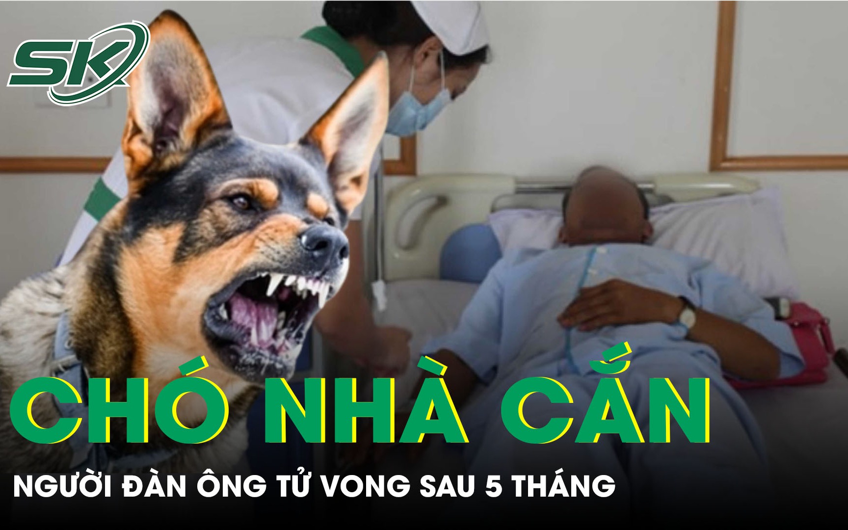 Nguy cơ bệnh dại gia tăng mùa nắng nóng, cần tiêm phòng ngay khi bị chó mèo cắn
- Ảnh 5. Người đàn ông ra đi trong đau xót vì bệnh dại sau 5 tháng bị chó nhà cắn