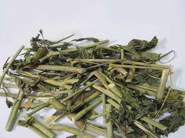 Cây xương khỉ có tác dụng gì?- Ảnh 2.