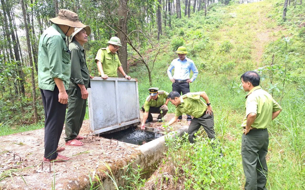 Nguy cơ cháy rừng gia tăng giữa cao điểm nắng nóng ở Huế