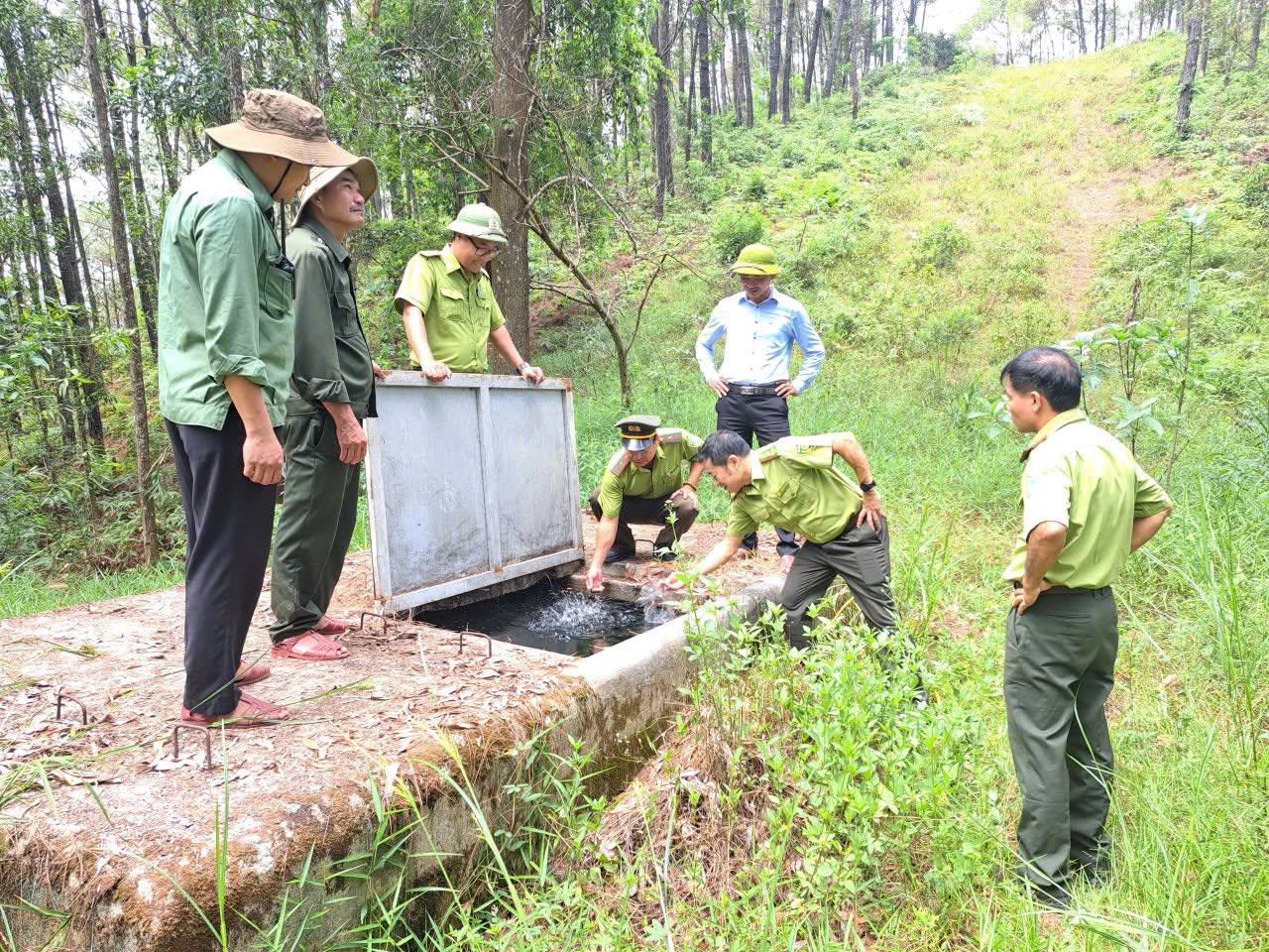Nguy cơ cháy rừng gia tăng giữa cao điểm nắng nóng ở Huế- Ảnh 2.