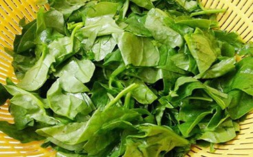 10 lợi ích sức khỏe nổi bật của rau mồng tơi - Ảnh 2.