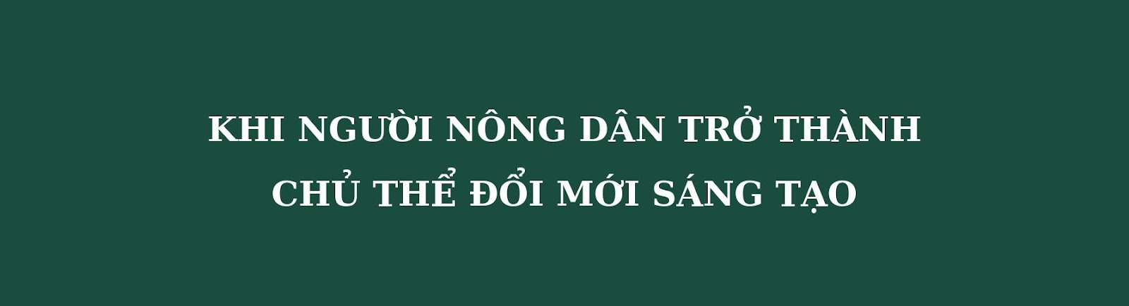 Đưa khoa học vào ruộng bậc thang, hành trình trồng sen trên núi của những ‘nhà khoa học nông dân’- Ảnh 6. Đưa khoa học vào ruộng bậc thang, hành trình trồng sen trên núi của những ‘nhà khoa học nông dân’- Ảnh 6.