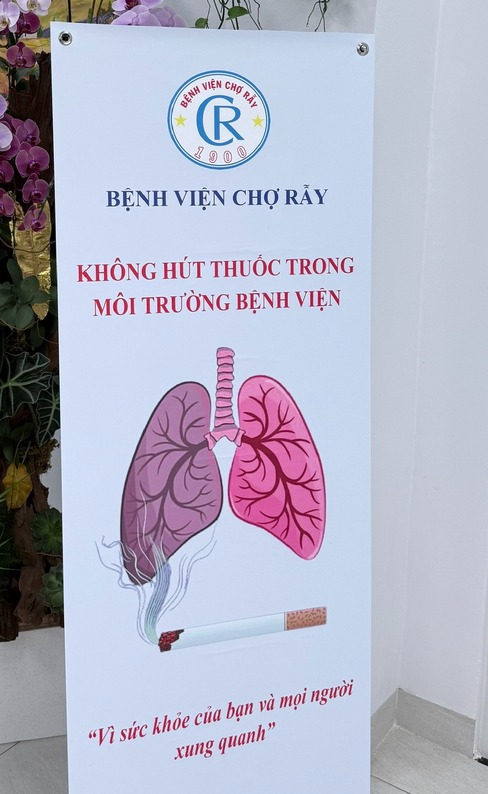 Chỉ môi trường không khói thuốc hoàn toàn mới bảo vệ hiệu quả sức khỏe cộng đồng- Ảnh 2. Chỉ môi trường không khói thuốc hoàn toàn mới bảo vệ hiệu quả sức khỏe cộng đồng- Ảnh 2.