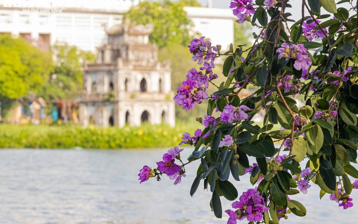Tây Bắc Bộ có mưa rất lớn, xuất hiện nhiều điểm nguy cơ cao lũ quét và sạt lở đất- Ảnh 2. Tây Bắc Bộ có mưa rất lớn, xuất hiện nhiều điểm nguy cơ cao lũ quét và sạt lở đất- Ảnh 2.