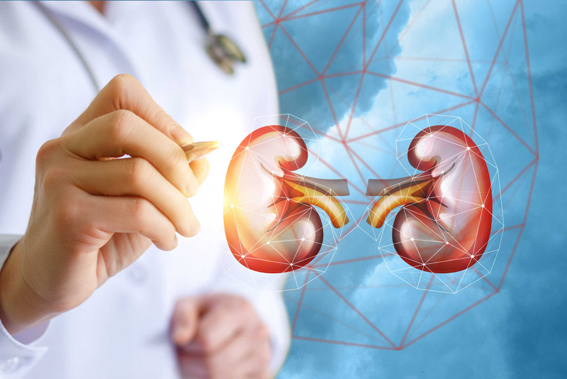 Suy thận cấp có điều trị được không, cách phòng bệnh hiệu quả?- Ảnh 1. Suy thận cấp có điều trị được không, cách phòng bệnh hiệu quả?- Ảnh 1.