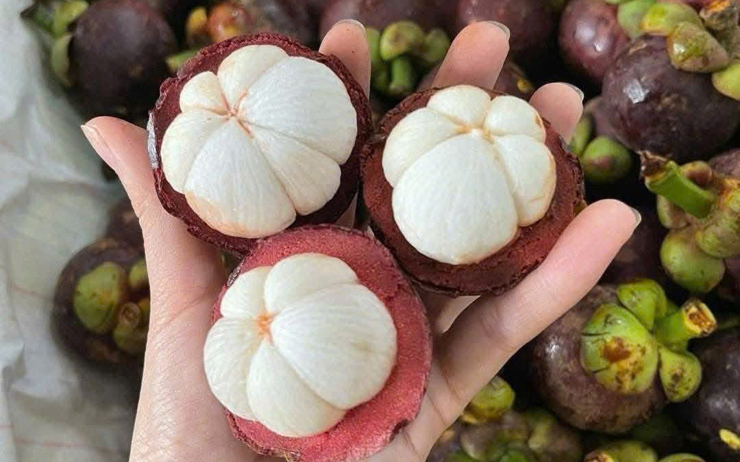 Quả măng cụt không tốt cho sức khỏe trong trường hợp nào?- Ảnh 2. Điều gì xảy ra với cơ thể khi thường xuyên ăn măng cụt?