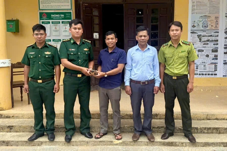 Nhặt chiếc túi giữa đường, người đàn ông bất ngờ phát hiện động vật quý hiếm- Ảnh 2. Phát hiện động vật quý hiếm, người dân ở Huế giao nộp bộ đội biên phòng
