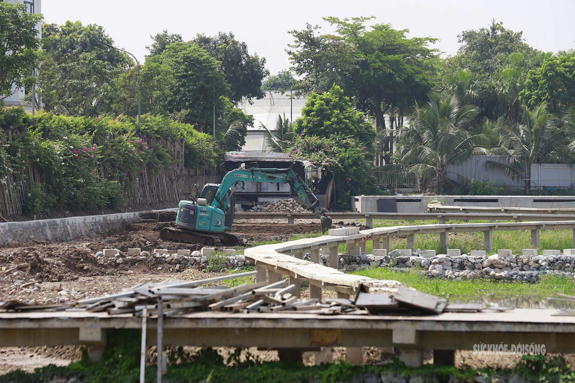 Bãi lọc sinh thái gần 6ha sắp bổ cập nước sạch cho hồ Tây - Ảnh 8.