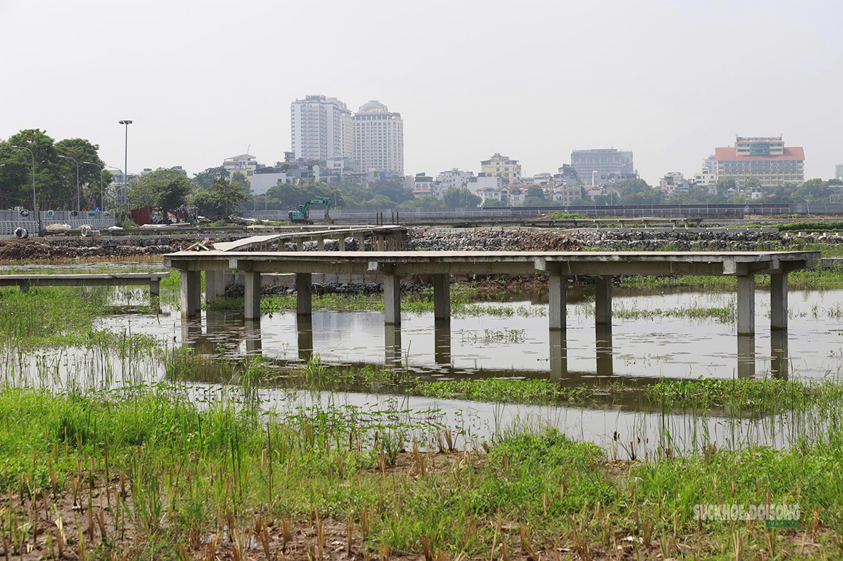 Bãi lọc sinh thái gần 6ha sắp bổ cập nước sạch cho hồ Tây - Ảnh 11.