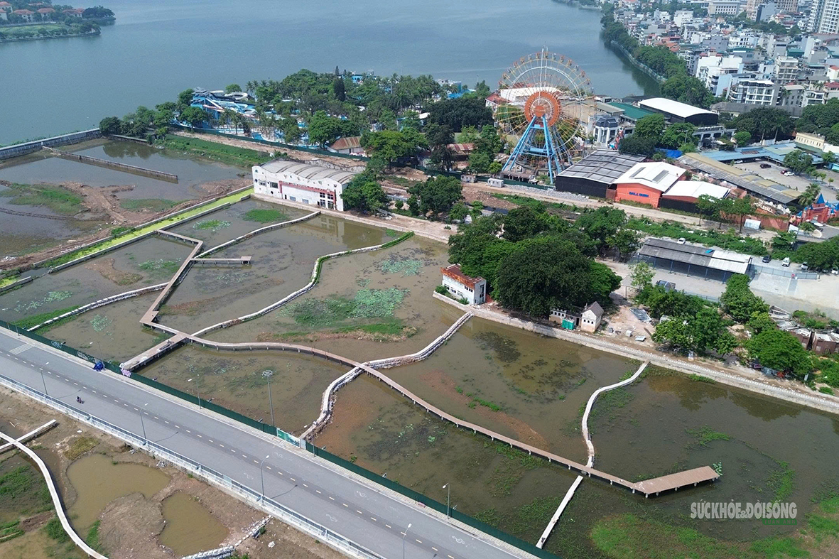 Bãi lọc sinh thái gần 6ha sắp bổ cập nước sạch cho hồ Tây - Ảnh 2.