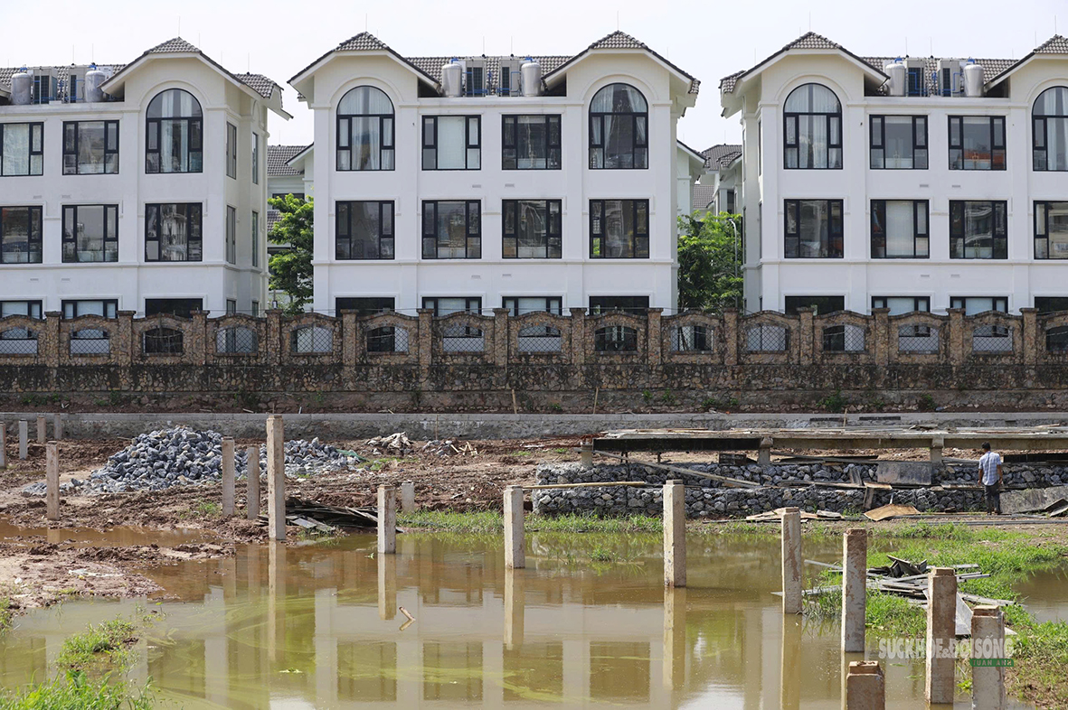Bãi lọc sinh thái gần 6ha sắp bổ cập nước sạch cho hồ Tây - Ảnh 6.