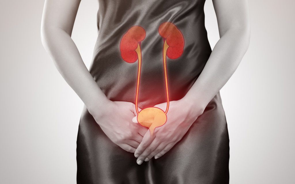 Cảnh Báo Nhiễm Khuẩn Tiết Niệu Ở Trẻ Nhỏ: Điều Cần Biết Về Sốt Không Rõ Nguyên Nhân
