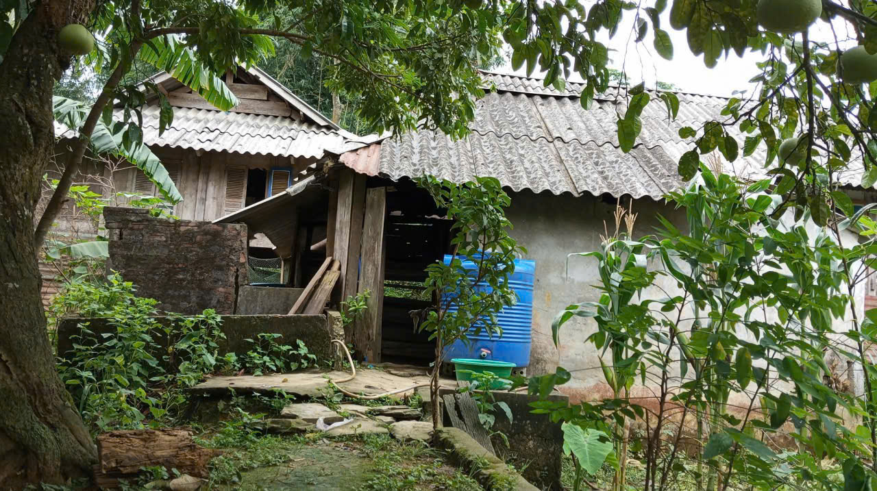 Bé gái 7 tuổi nguy kịch vì bị tường đổ đè trúng người cần sự giúp đỡ để vượt qua ca điều trị nặng - Ảnh 6.