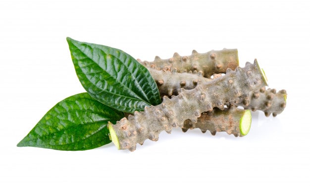 Dây ký ninh, vị thuốc có nhiều tác dụng tốt cho sức khỏe - Ảnh 2.