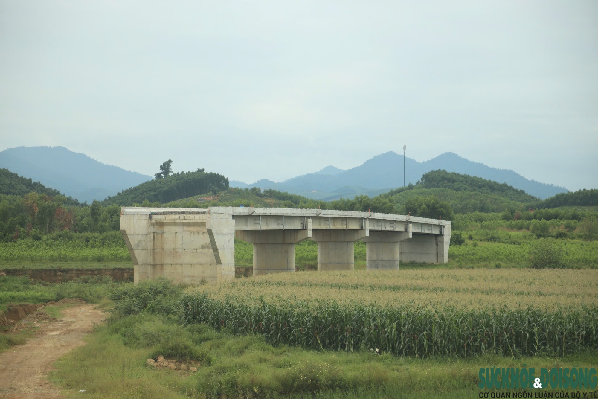Cầu tiền tỷ xây xong vẫn chưa thể sử dụng vì thiếu đường dẫn- Ảnh 4.