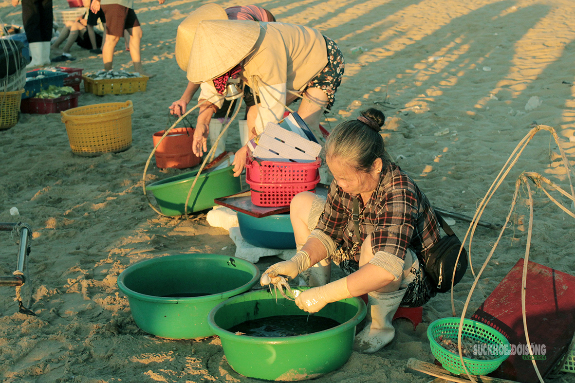 Nhịp mưu sinh trên bãi cá Cảnh Dương- Ảnh 9.