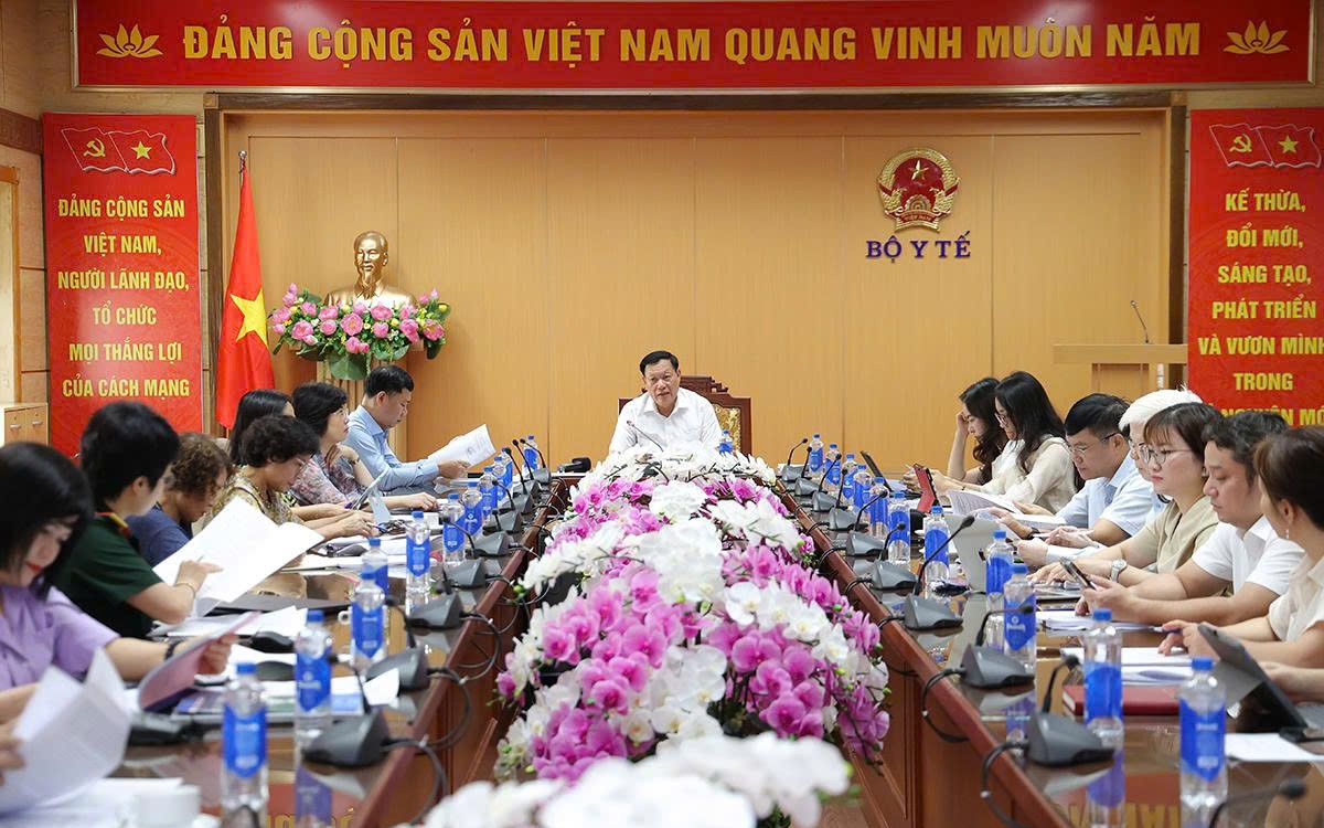 Chính sách dân số phải đi vào cuộc sống để người dân yên tâm sinh đủ 2 con - Ảnh 8.