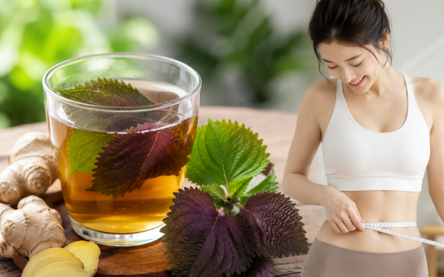 5 cách dùng lá tía tô tốt nhất cho sức khỏe - Ảnh 2.