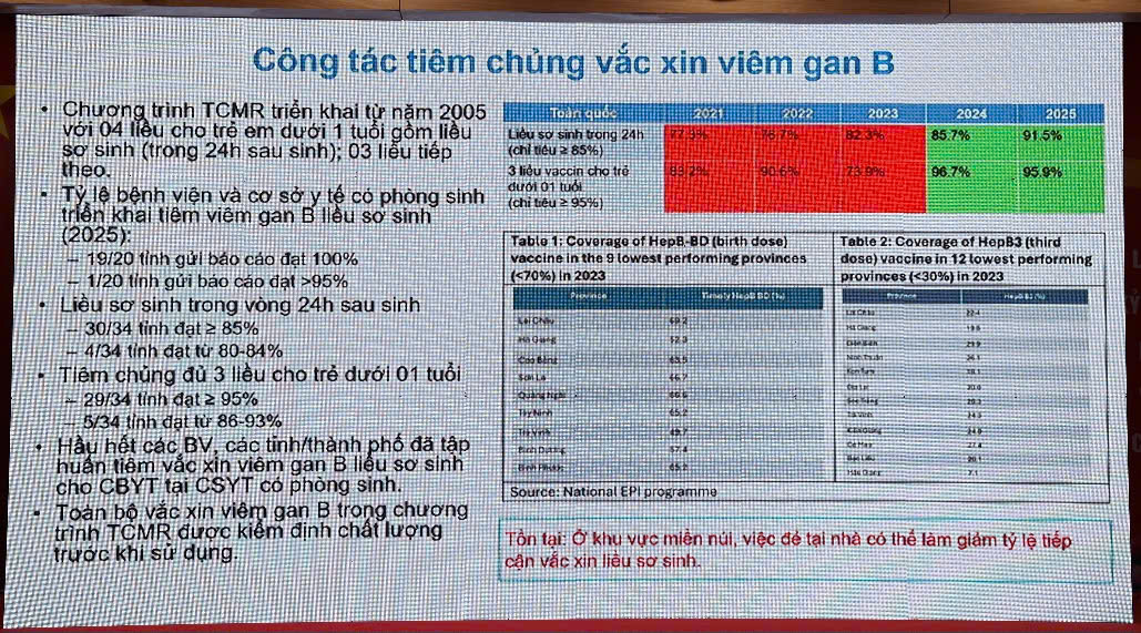 Tăng tốc lọai trừ viêm gan virus để giảm gánh nặng ung thư gan tại Việt Nam 2026 - Ảnh 4.
