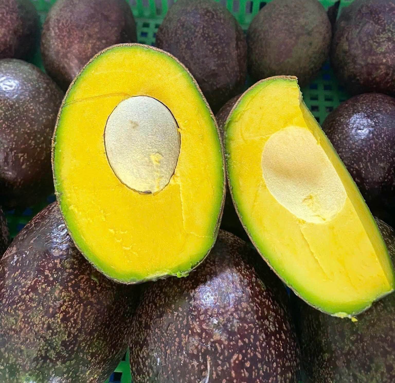 Một loại bơ vỏ tím lịm, cơm vàng dẻo kẹo, có thể nặng tới cả kg/quả đang được các chị em thi nhau ‘săn đón’- Ảnh 4.