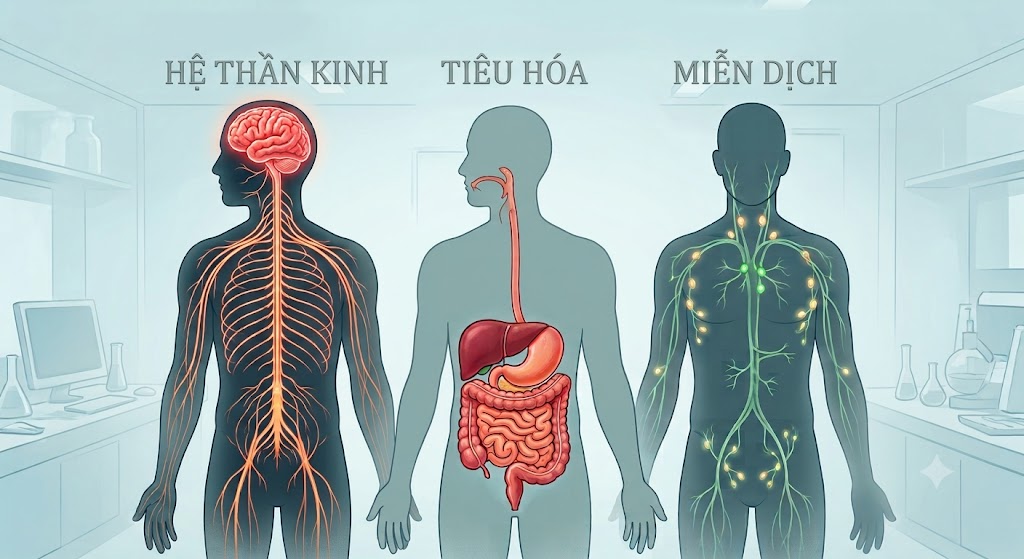 Minh họa tác hại của ô nhiễm thủy ngân đối với cơ thể