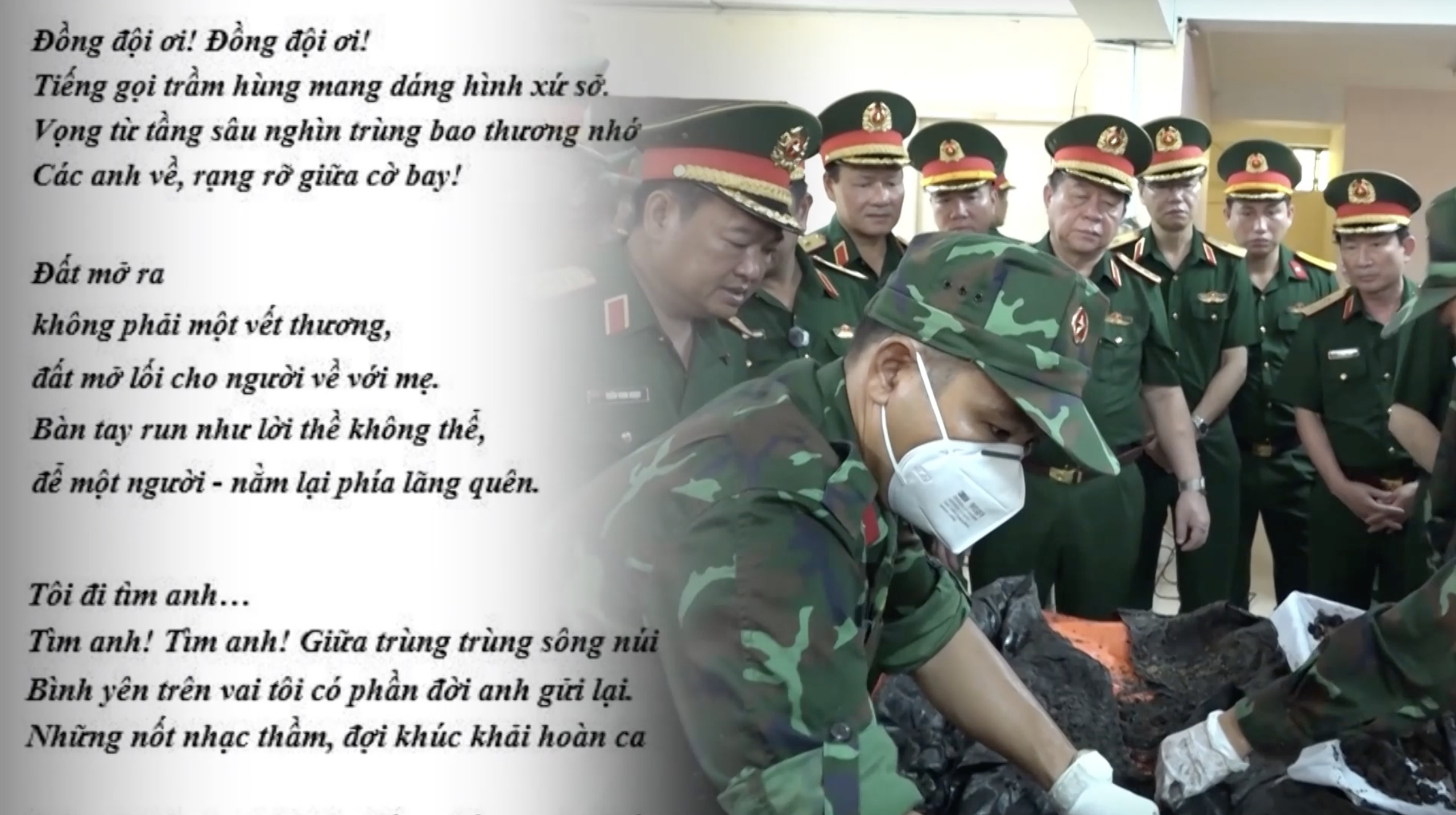 Gallery - Tìm ánh sao trong đất mẹ - image 2