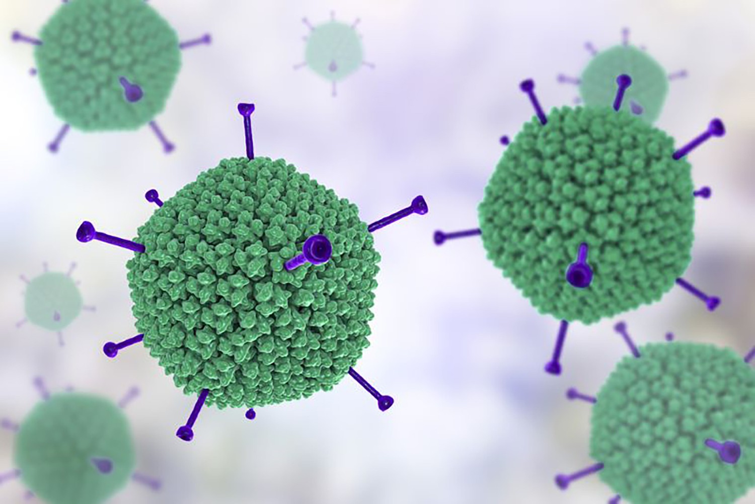 Gallery - Adenovirus gia tăng trong mùa hè, bác sĩ khuyến cáo cách phòng tránh - image 1