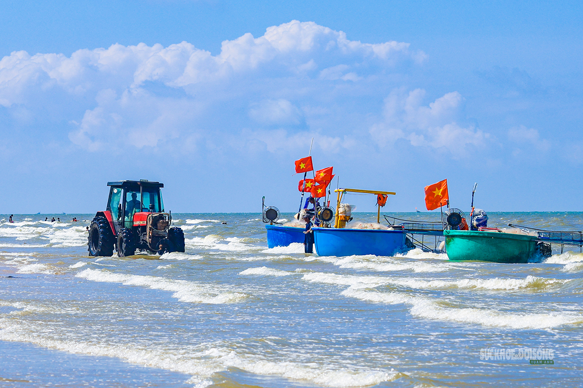Những người giữ nhịp sống làng chài Long Hải- Ảnh 3.