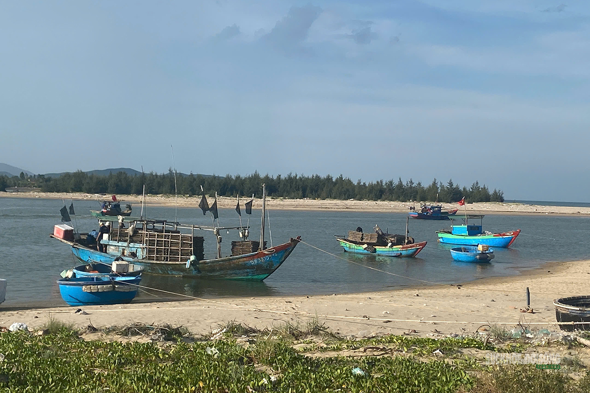 Theo ngư dân Cảnh Dương 'đi Bóng' bắt mực- Ảnh 9.