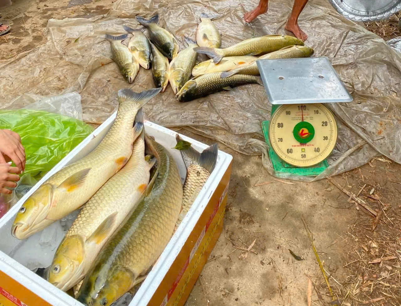 Bourriche Flottante à Poissons – Pliable 50x39x24cm, Filet Nylon, Réfléchissant, Pour Pêche En Rivière Ou Mer