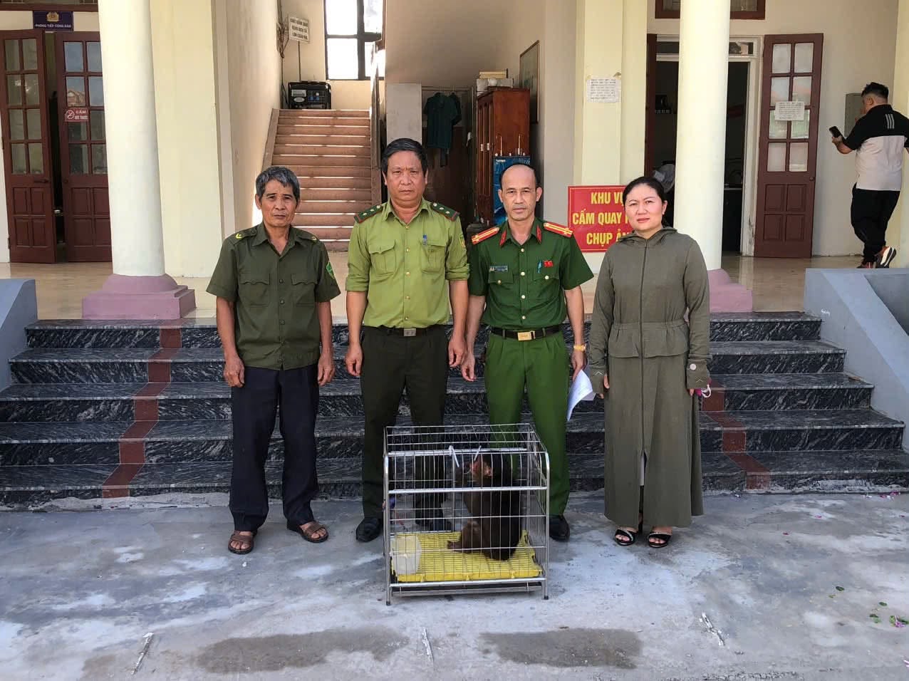 Người dân Hải Phòng giao nộp nhiều động vật quý hiếm- Ảnh 2.