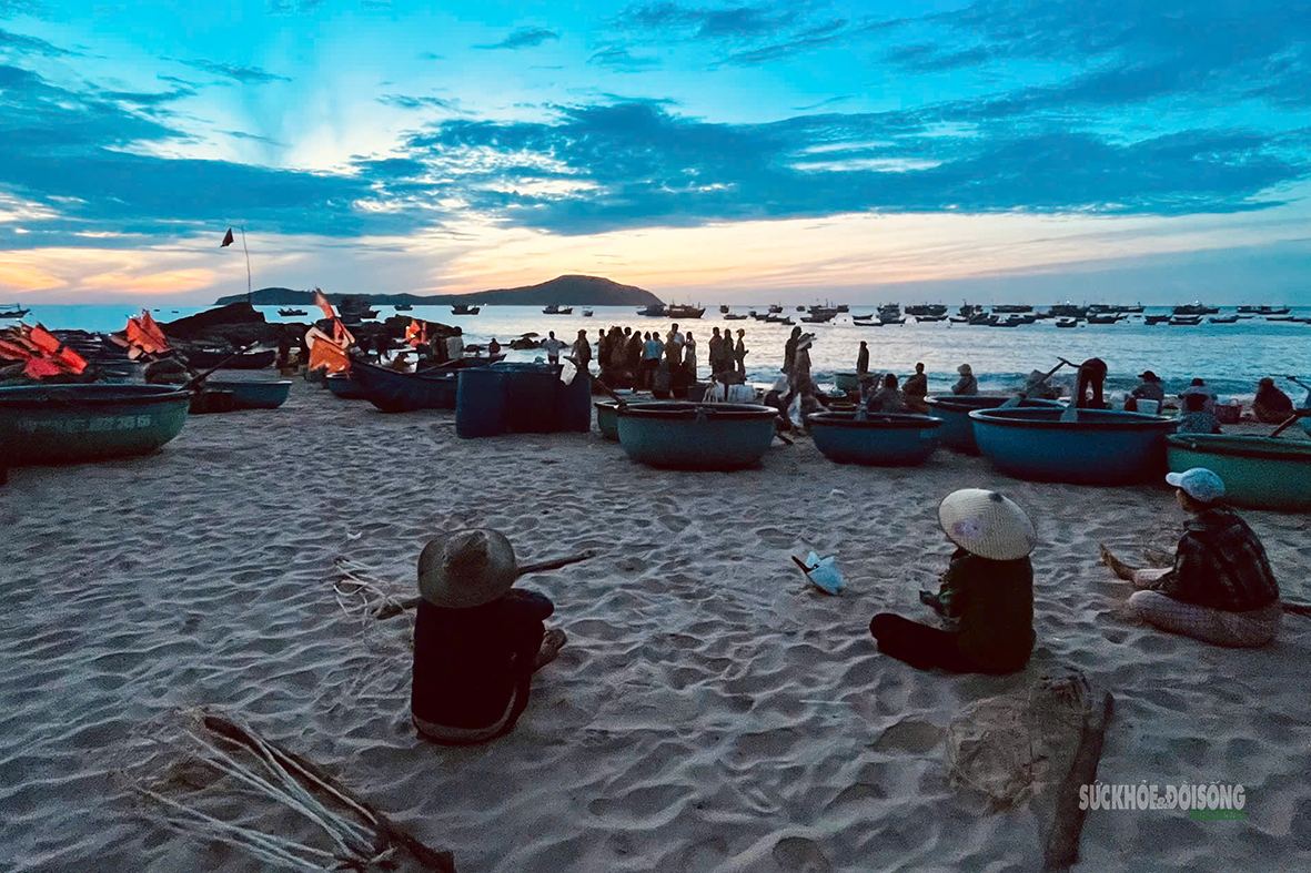 Làng chài Phước Đồng thức dậy trước bình minh- Ảnh 2.