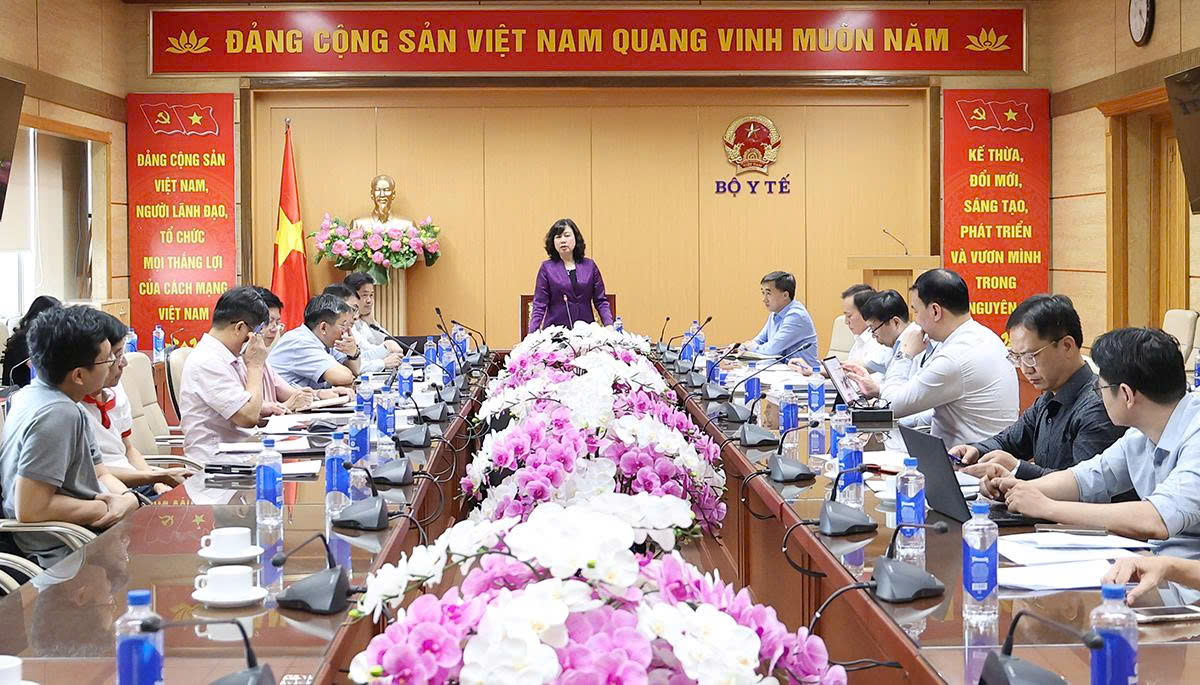 Bộ trưởng Đào Hồng Lan: Khẩn trương hoàn thiện hồ sơ 3 dự án luật, bảo đảm chất lượng và tiến độ- Ảnh 12.