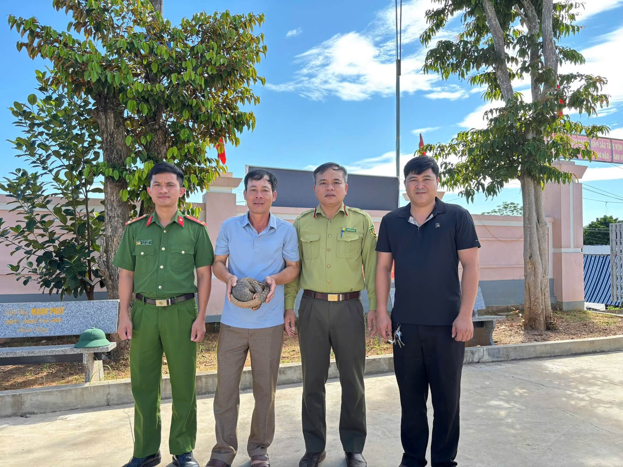 Người dân tự nguyện giao nộp tê tê Java quý hiếm nặng 2,2 kg - Ảnh 2.