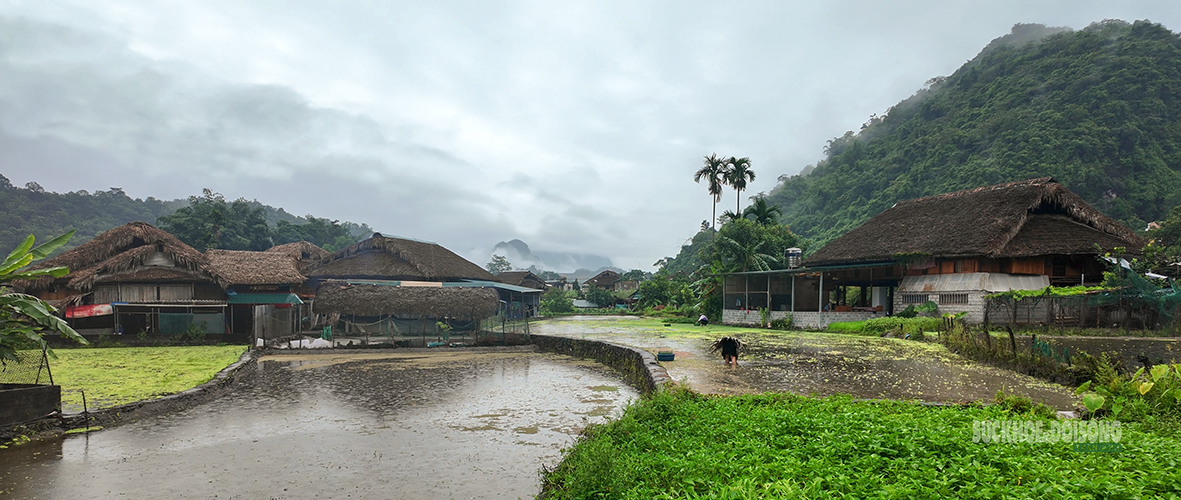 Gallery - Thôn Tha gìn giữ văn hóa Tày và phát triển du lịch bền vững năm 2026 - image 8