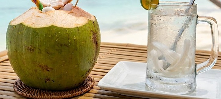 Sốt xuất huyết có nên uống nước dừa? Những điều cần biết khi bù nước - Ảnh 1.