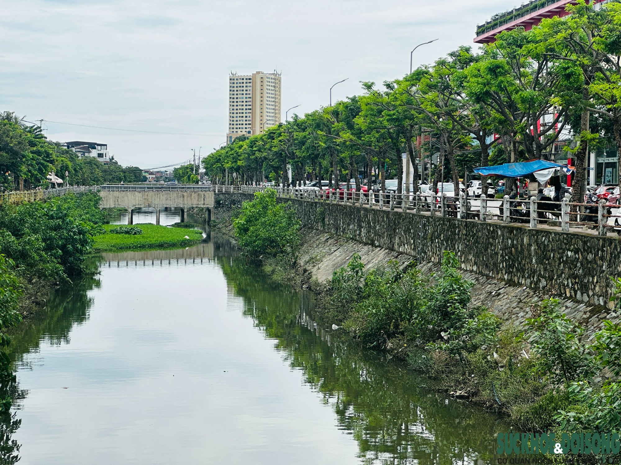 Kênh Bắc ở Nghệ An tính phương án ngầm hóa sau nhiều năm ô nhiễm - Ảnh 2.