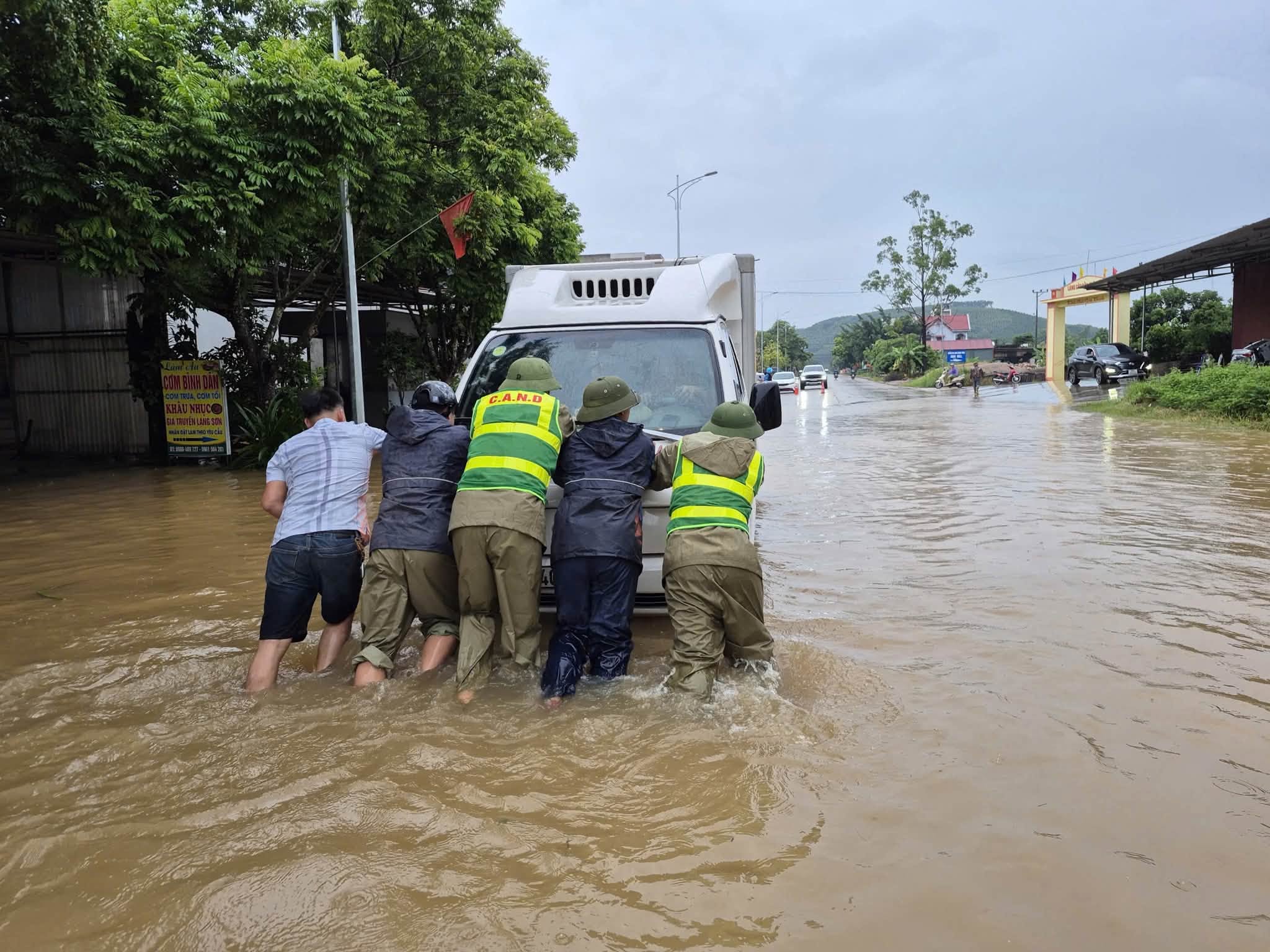 TỎI HẢI DƯƠNG BÁN LẺ SỈ GIÁ TỐT TOÀN QUỐC