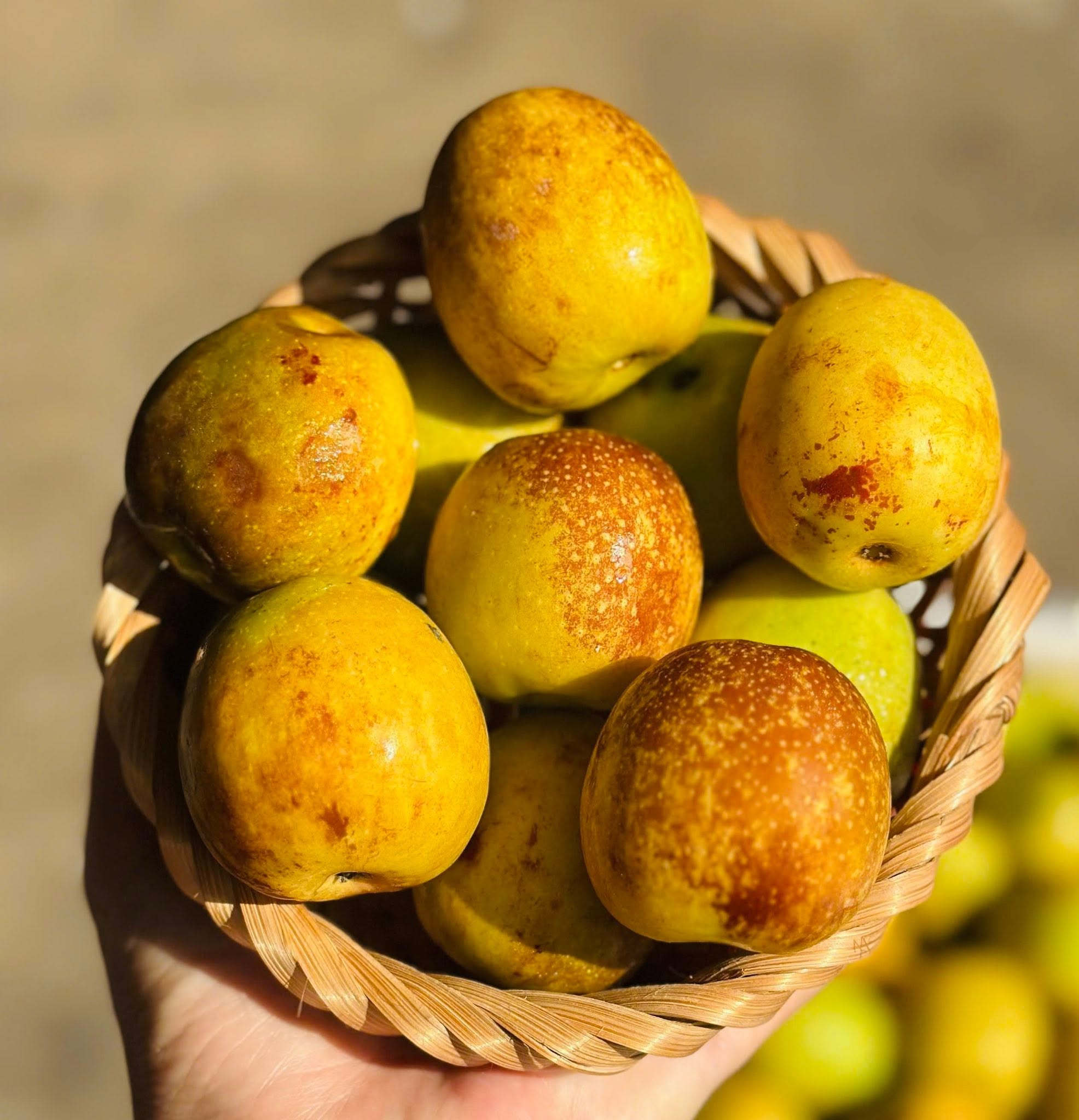 Tiểu thương chỉ cách chọn hồng táo chín già, ngọt thơm, ăn một lần là nhớ mãi- Ảnh 2.