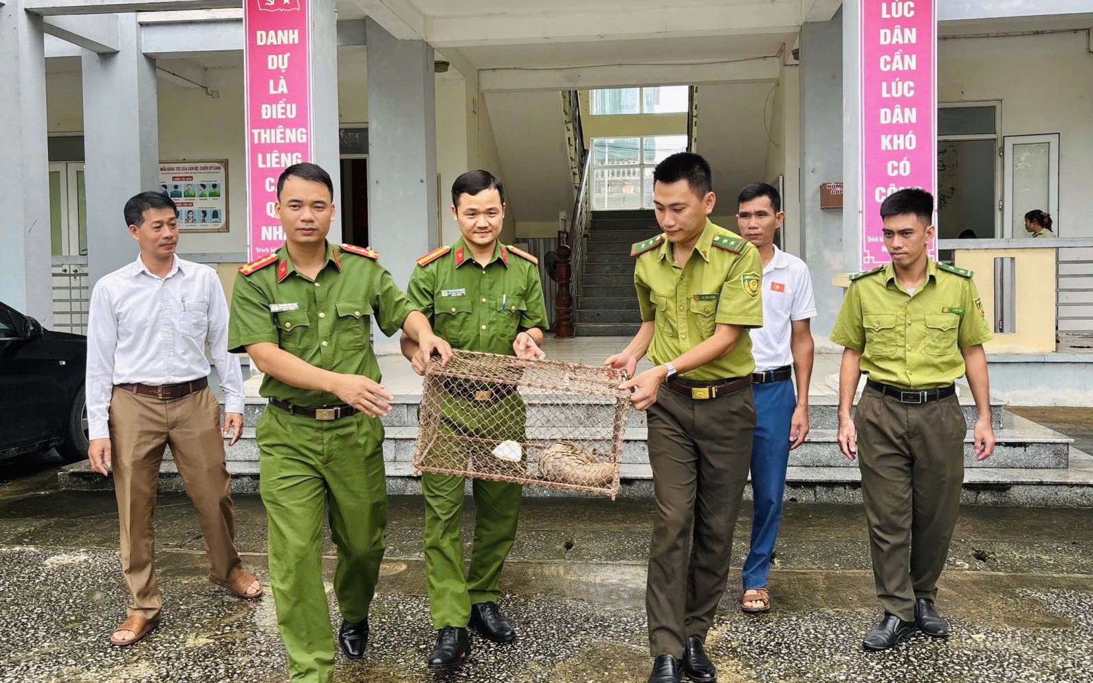 Động vật hoang dã được cứu hộ thế nào trước khi thả về rừng Bạch Mã?- Ảnh 5.